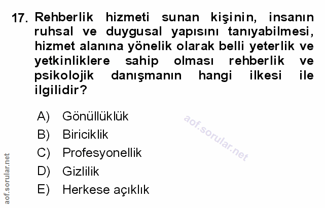 Soru 17