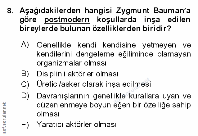 Soru 8
