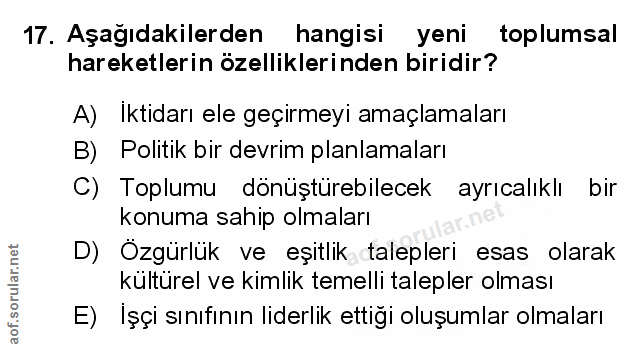 Soru 17