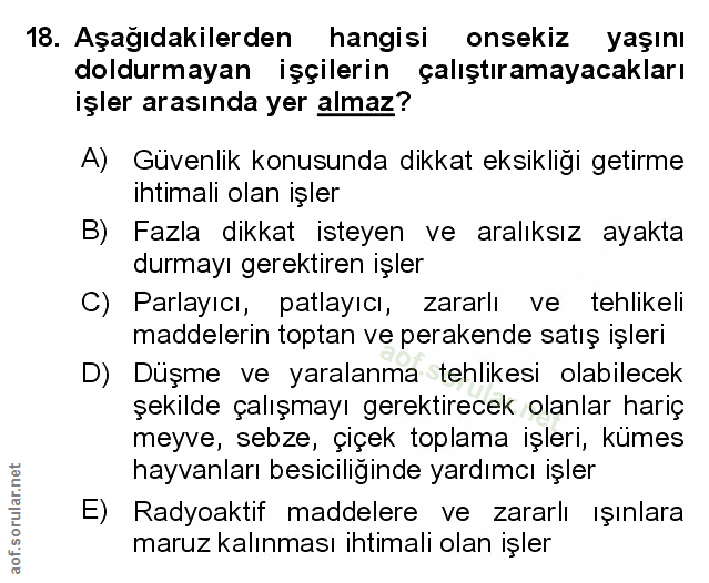 Soru 18
