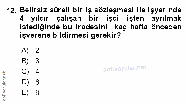 Soru 12