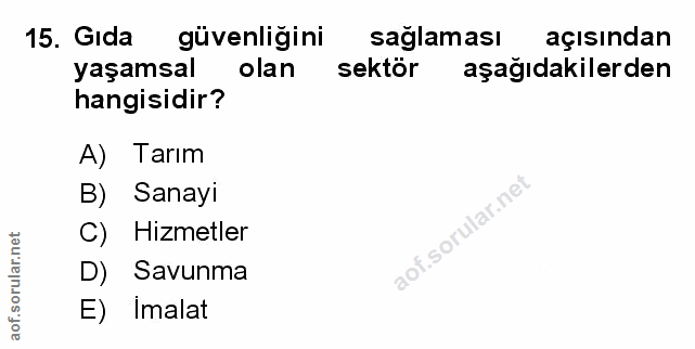 Soru 15