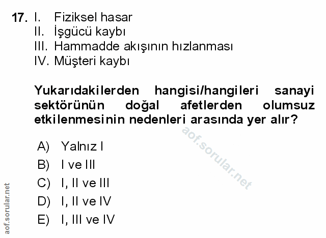 Soru 17