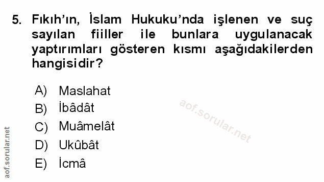 Soru 5