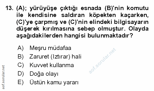 Soru 13