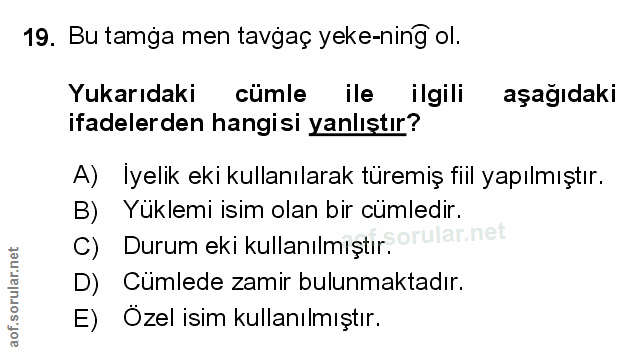 Soru 19