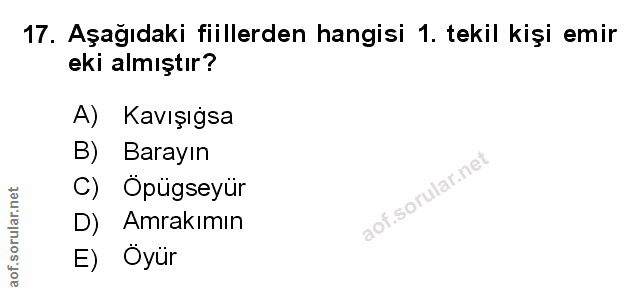 Soru 17
