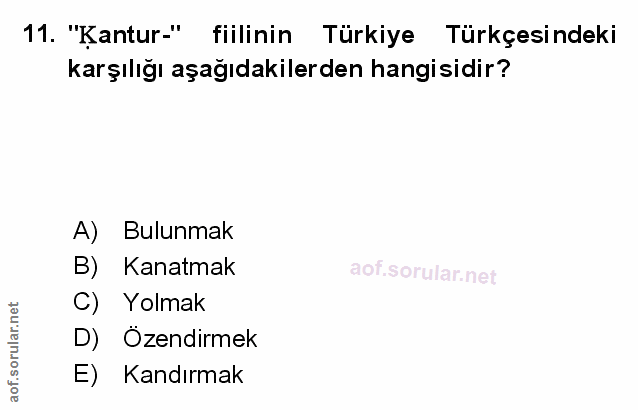 Soru 11