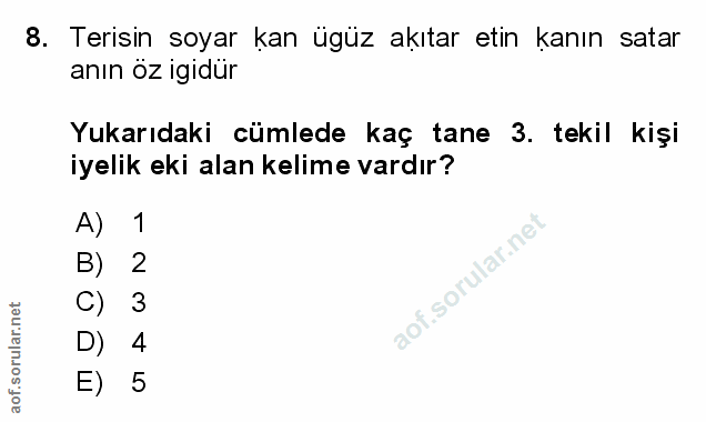 Soru 8