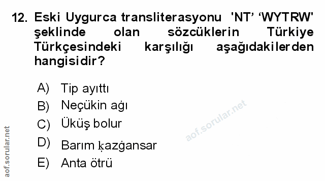 Soru 12