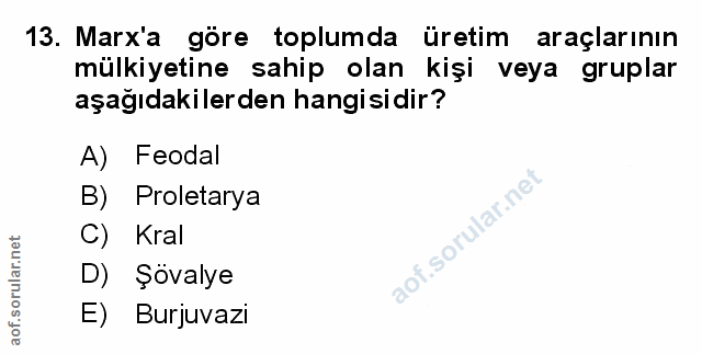 Soru 13