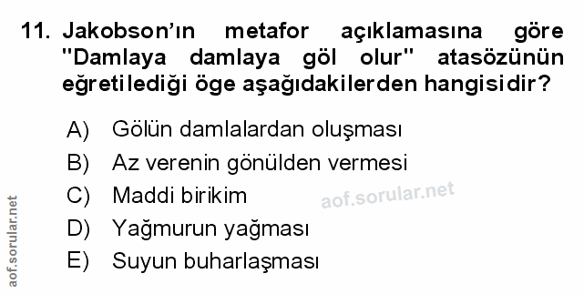 Soru 11