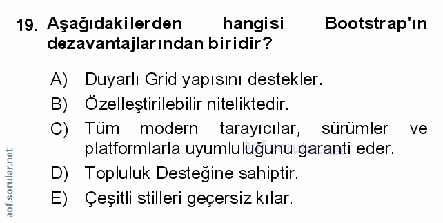 Soru 19
