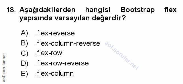 Soru 18