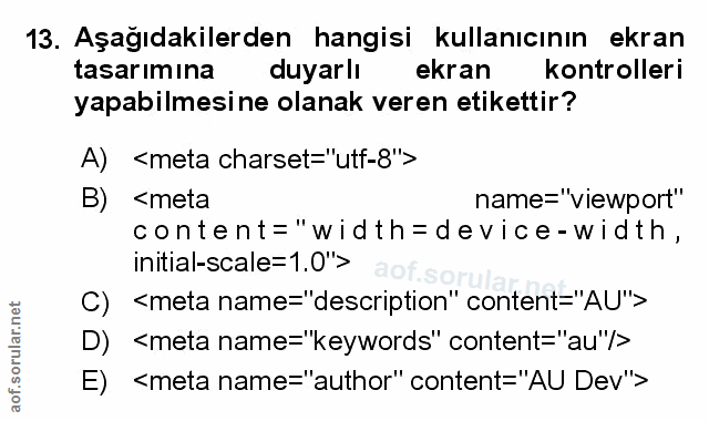 Soru 13