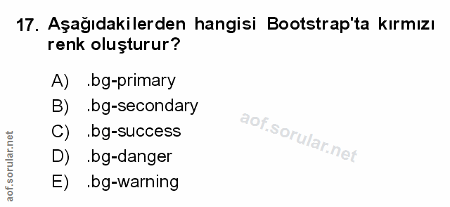 Soru 17