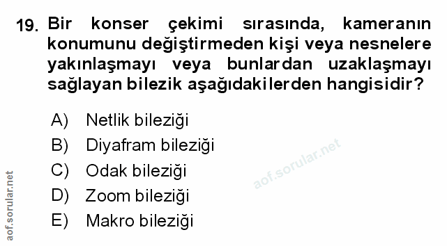 Soru 19