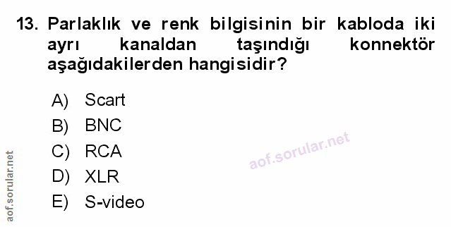 Soru 13