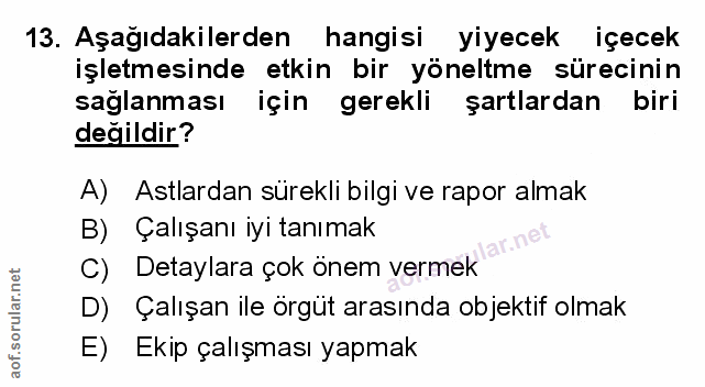 Soru 13