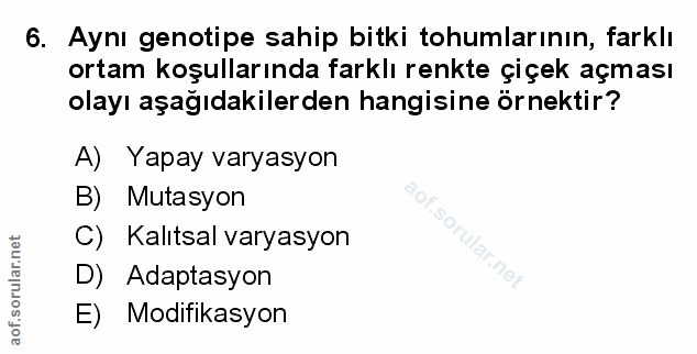 Soru 6