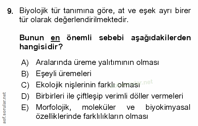 Soru 9