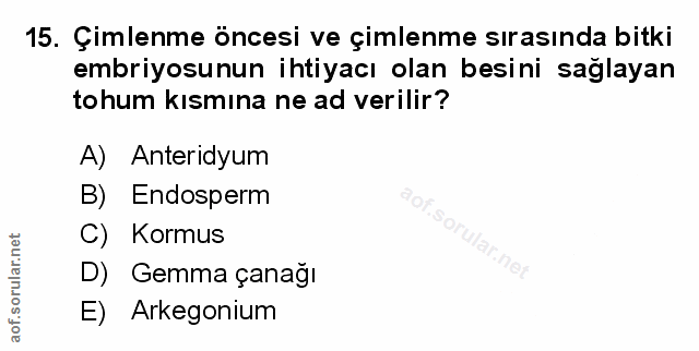 Soru 15