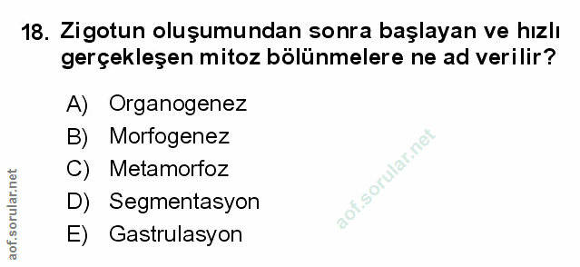 Soru 18