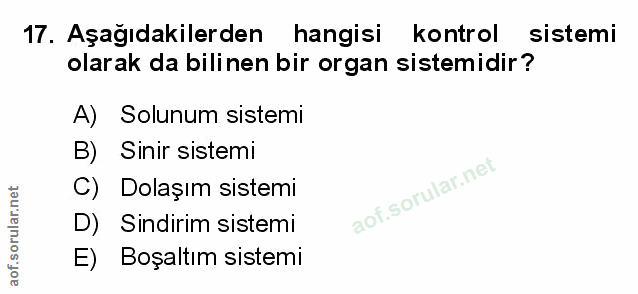 Soru 17