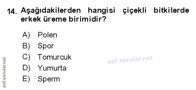 Soru 14