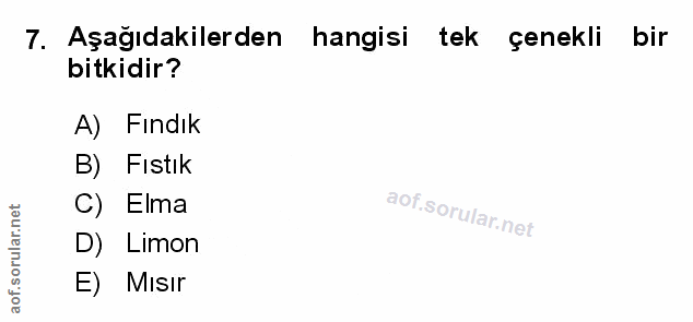 Soru 7