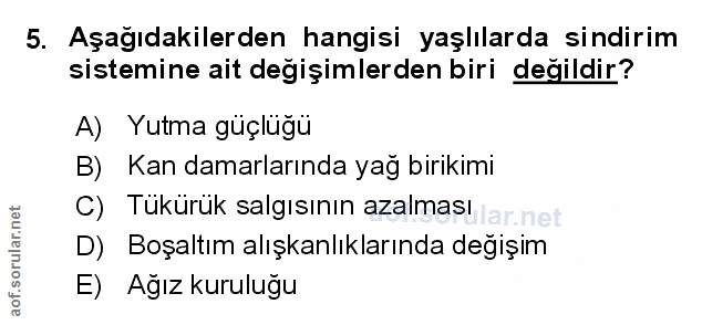 Soru 5
