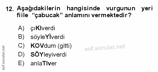 Soru 12