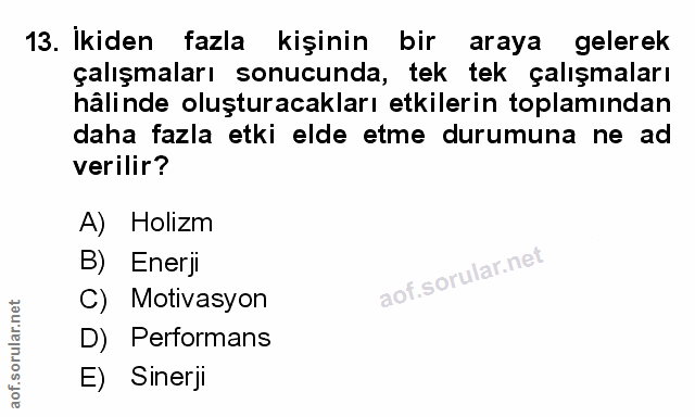 Soru 13