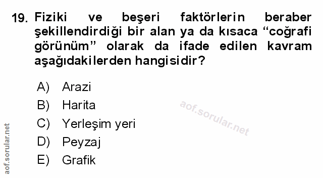 Soru 19