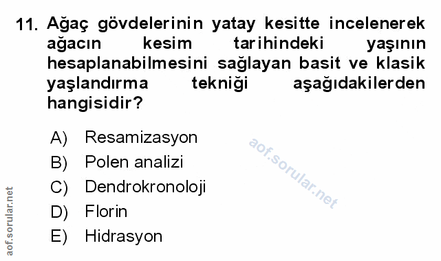 Soru 11