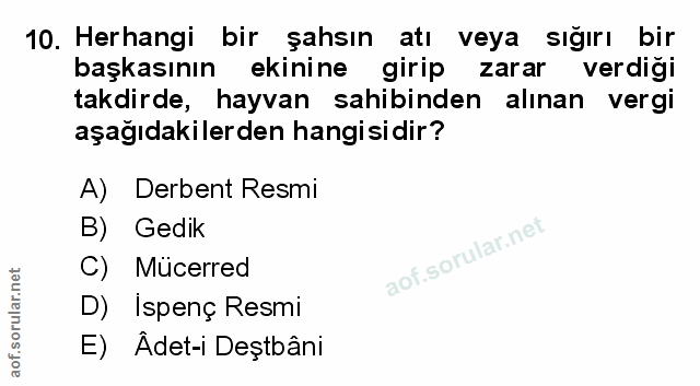 Soru 10