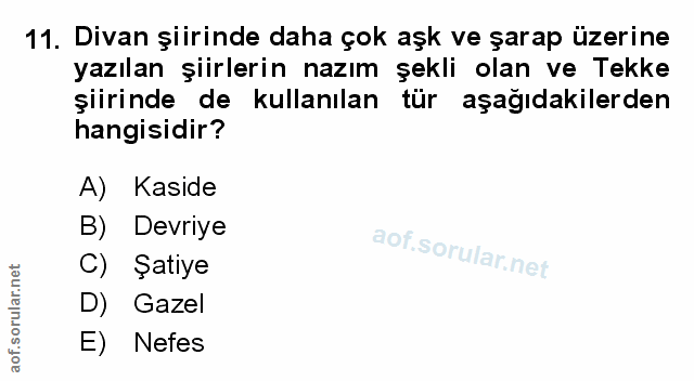 Soru 11