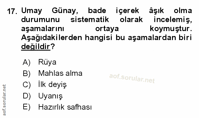 Soru 17