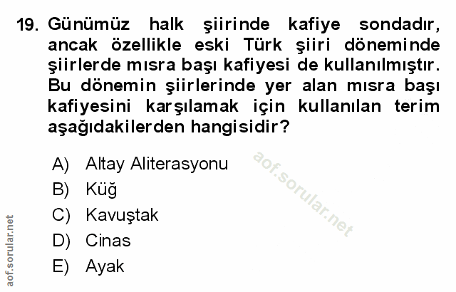 Soru 19