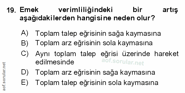 Soru 19