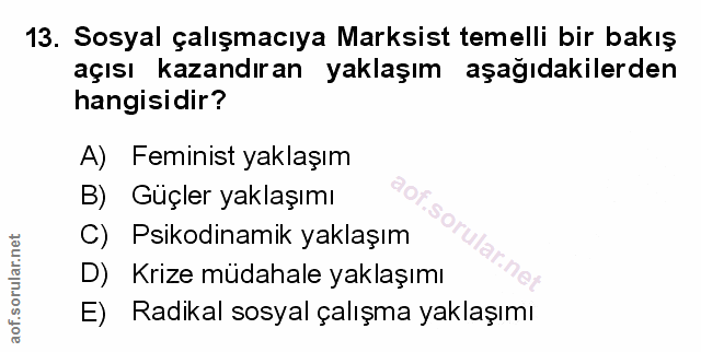Soru 13