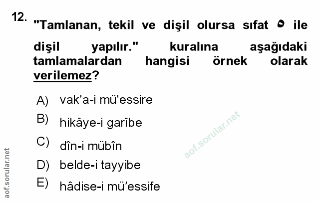 Soru 12