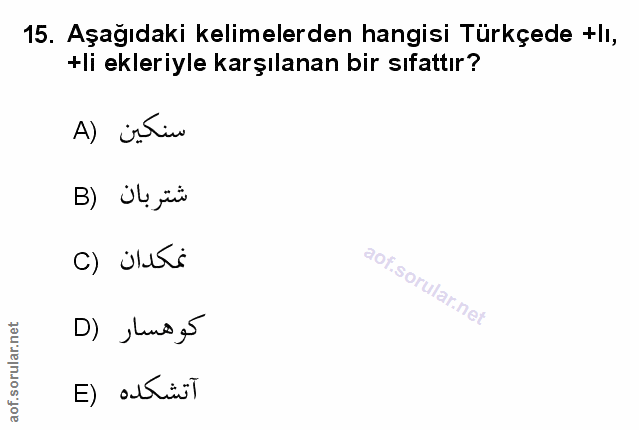 Soru 15