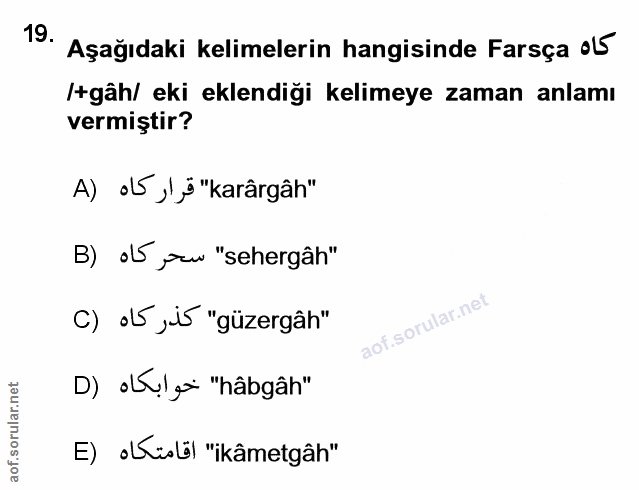 Soru 19