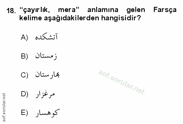 Soru 18