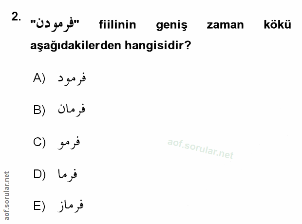 Soru 2