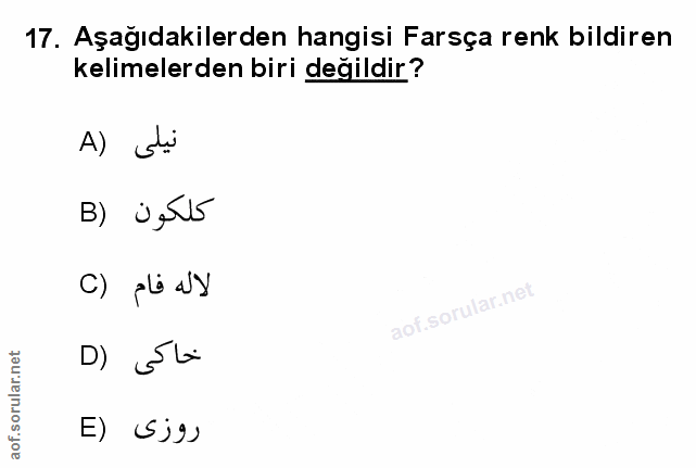 Soru 17