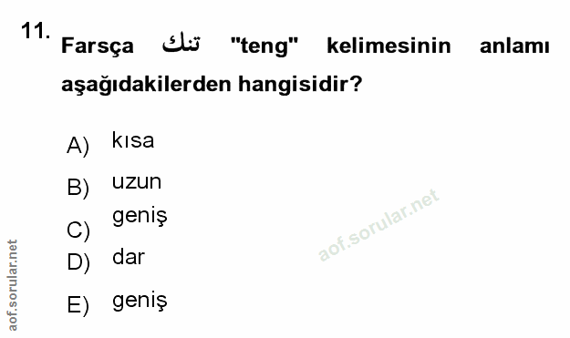 Soru 11