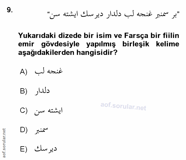 Soru 9