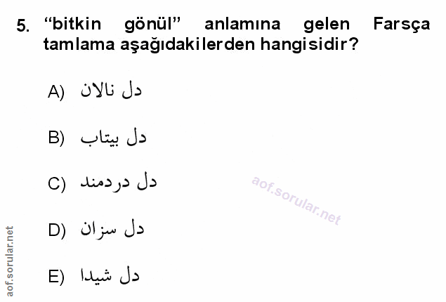 Soru 5